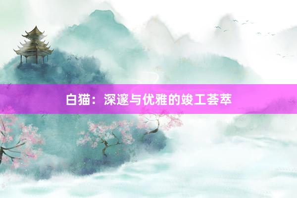 白猫：深邃与优雅的竣工荟萃