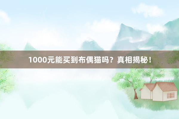 1000元能买到布偶猫吗？真相揭秘！