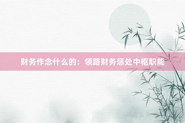 财务作念什么的：领路财务惩处中枢职能